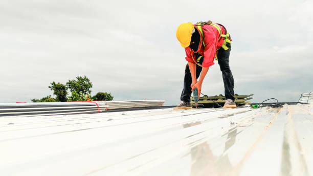 Best Sheet Metal Roofing  in Caddo Mills, TX